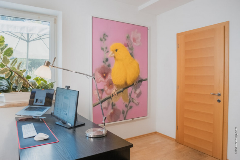 Workspace mitten im Grünen