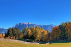 Sonne statt Herbstblues
