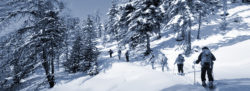 Weihnachtskarte 02: Skitour durch den Winterwald