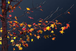 Sonne statt Herbstblues