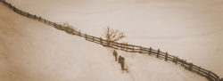 Schnee Rodel Kindheit: Alarmleuchten?
