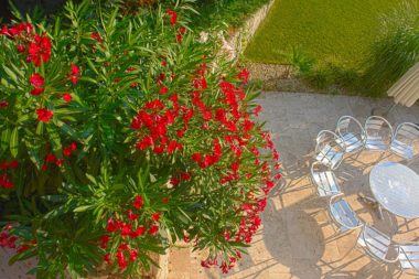 TELOS Außengelände Terrasse