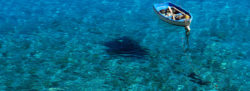 Archimedes und Psyche: Sommer Meer Boot schweben