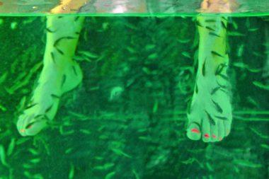 Schaufenster Prag Fußreinigung Fische / Foto: TELOS - D0687e