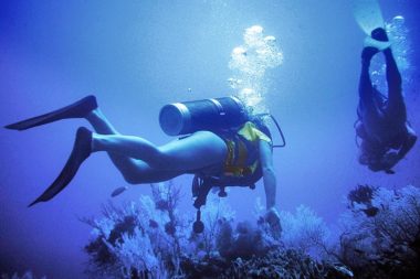 Sommer Meer Tauchen Korallen / Foto: TELOs - dia3107
