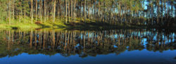 Der stille See Waldsee Kemater Weiher