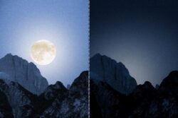 Dunkelheit zulassen Nacht Vollmond Rosengarten