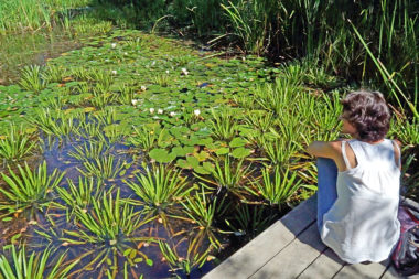 Sommerseminar Biotop Seerosenteich Frau entspannen / Foto: TELOS - E5934cC