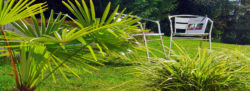 Besser als Rimini: Sommercoaching bei TELOS!