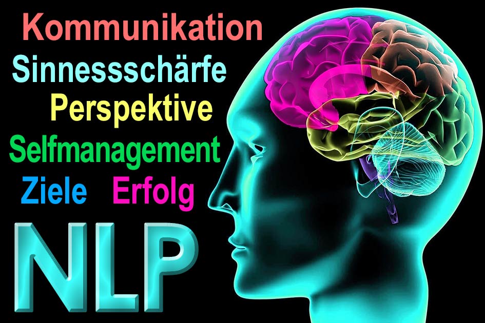 Gehirn Kopf NLP / Grafik: TELOS - 09648hgnlp