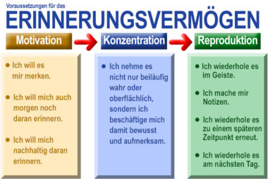 Hirnmuskeln Voraussetzungen für Erinnerungsvermögen / Grafik: TELOS - 2774