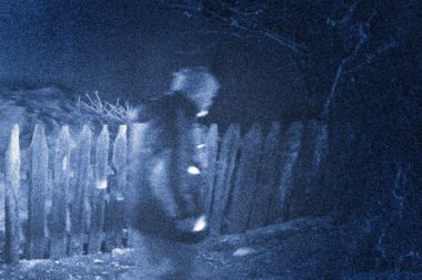 Nacht Wald Mann Dunkelheit / Foto: TELOS - 11587b