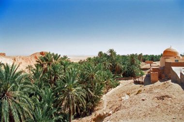 Afrika Tunesien Oase Wüste Palmen Hitze Trockenheit / Foto: TELOS - sw61520034eG