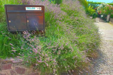 TELOS Außengelände Eingang Gartentor Briefkasten Blumen / Foto: TELOS - D2400HDRbG
