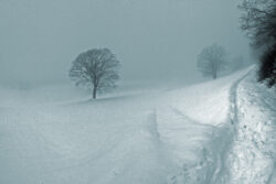 Orientierung Nebel Schnee