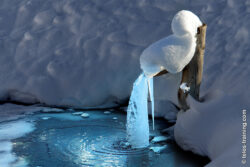 Eisbrunnenwasser