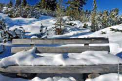 Schneebank