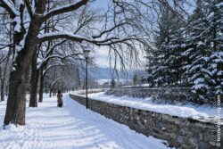 Winterparkspaziergang
