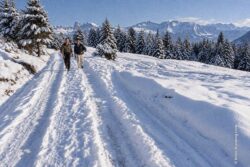 Winterwanderung