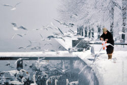 Winterfütterung am See